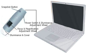 Microptik Smart Eye Machine vision digital microscope scheme
